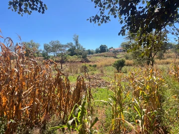 Commercial & Industrial Land