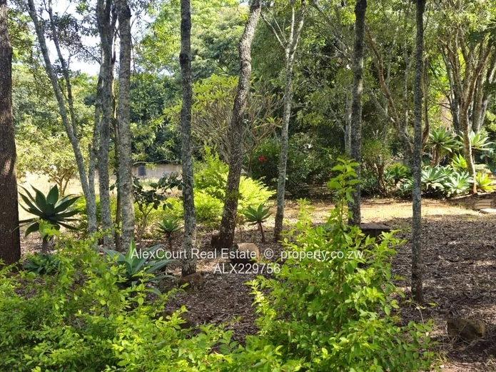 1.4 Hectare Property For Sale In HOGERTY HILL