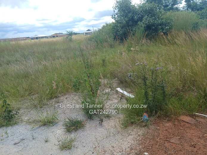 2 Stands For Sale - Penrose, Nyabira