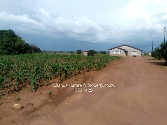 Stand For Sale In Norton (Sole Mandate)