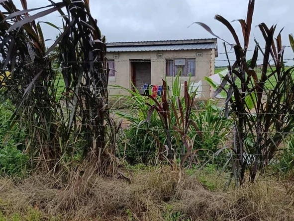 Farm & Agricultural Land