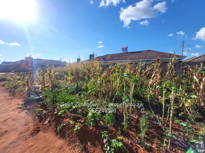 Ruwa Springvale $26000