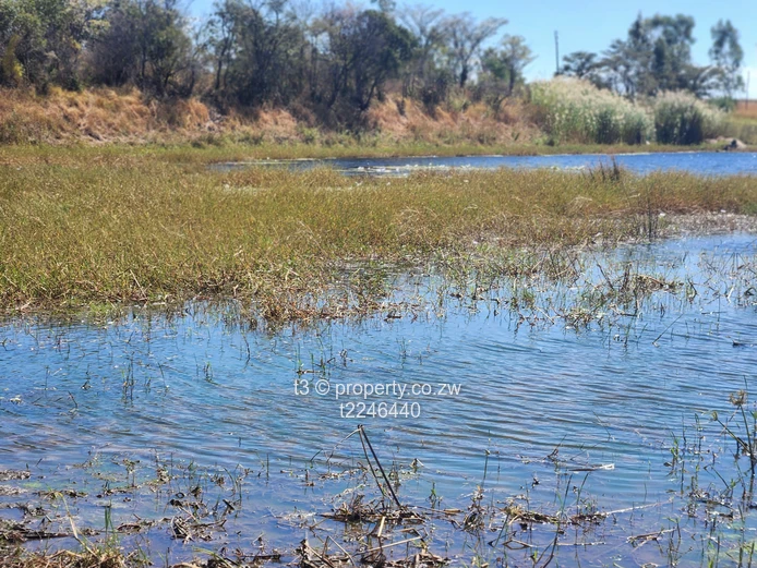  Darwendale Farm - 400 hectares 