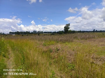 Farm & Agricultural Land