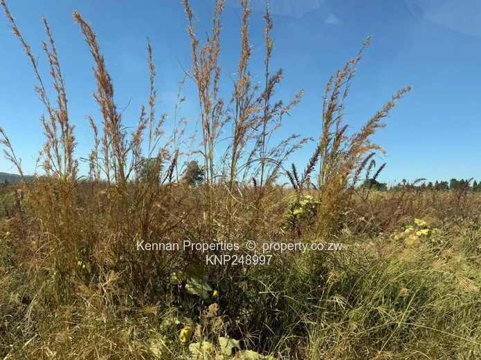 Expansive 65,234ha Mt Hampden Land — Open Veld & Views