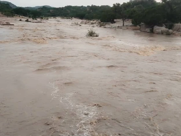 Farm & Agricultural Land