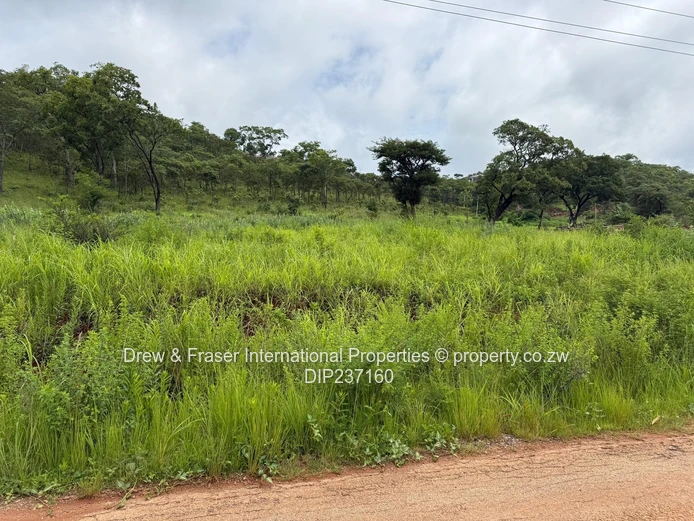 8,191m² Stand in Carrick Creagh Gated Estate for Sale $560k