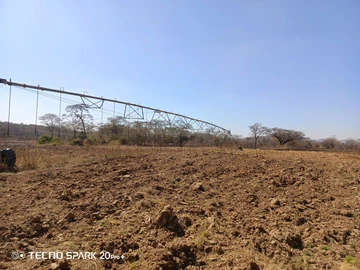 Farm & Agricultural Land