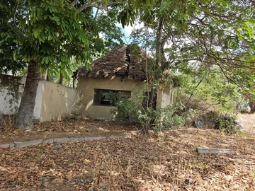 Farm & Agricultural Land