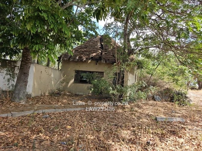 Perfect for development!