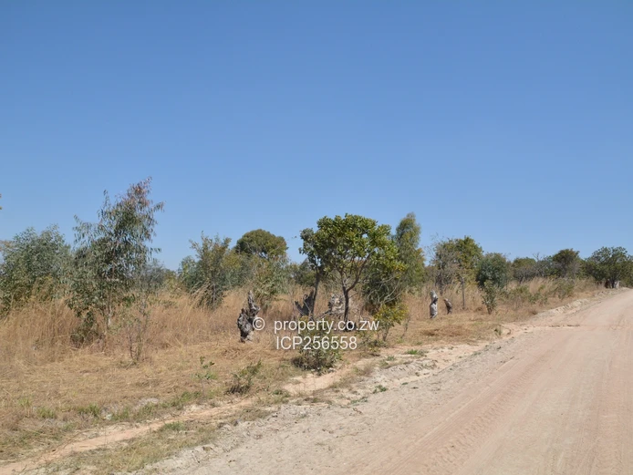 7 Hectares Liwonde Farm Goromonzi