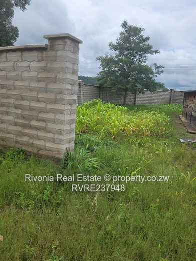 Norton Mwashuma Park Commercial stand