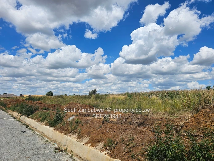 Investment opportunity in Riverdale!