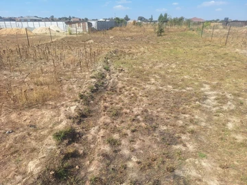 Land