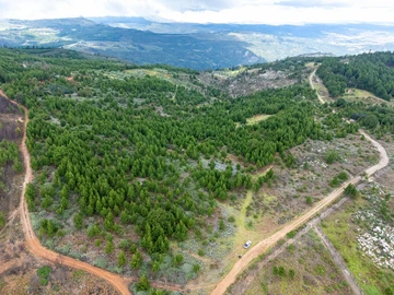 Commercial & Industrial Land