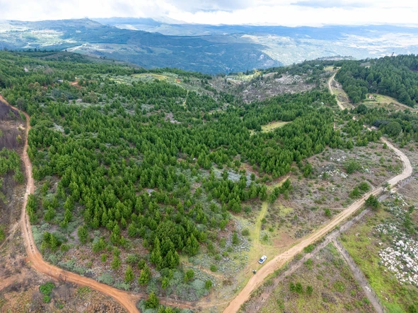 Commercial & Industrial Land