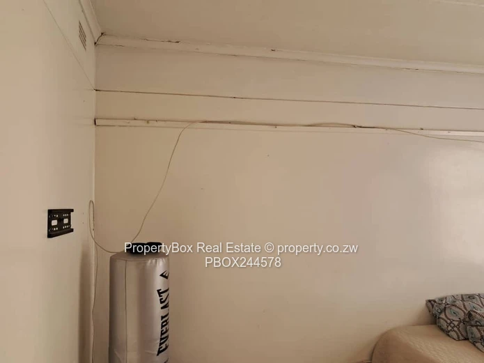 Bachelor's flat available to rent for Immediate occupation!