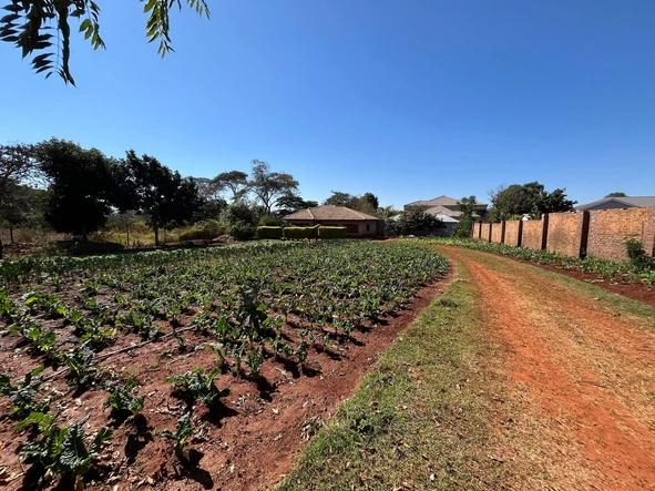 Stands & Residential Land
