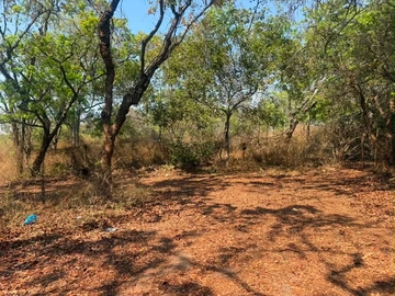 Land