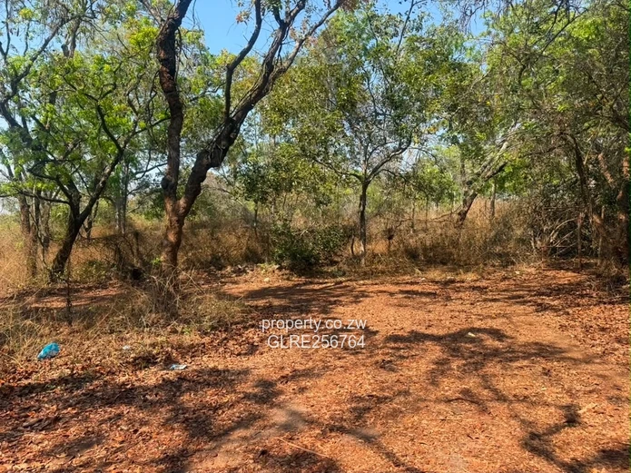 41ha Borrowdale Acreage with Mature Trees & Road Frontage
