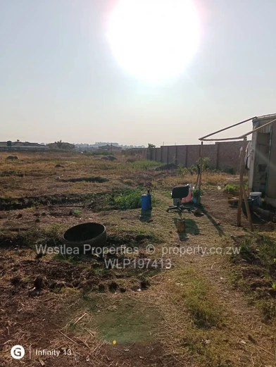 An opportunity not to miss