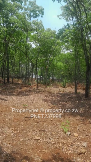 Prime stand (Sole Mandate)