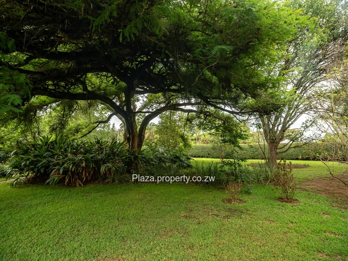 3 Bedroom House For Rent In Glen Lorne