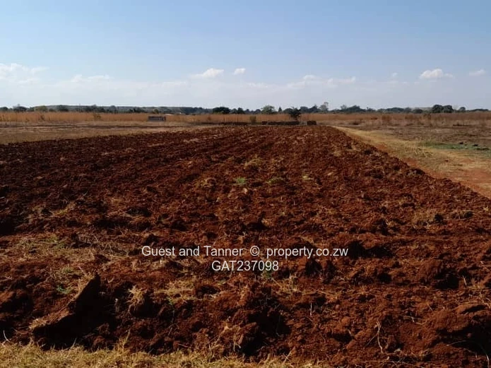 Kadoma Plot for Sale – 20,290 sqm with Title Deeds