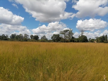 Farm & Agricultural Land