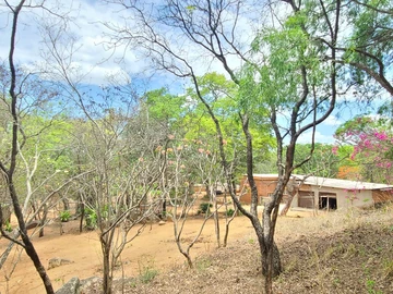 Farm & Agricultural Land