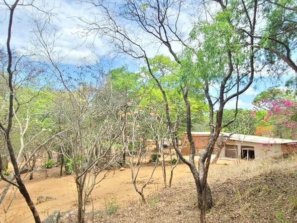 Farm & Agricultural Land