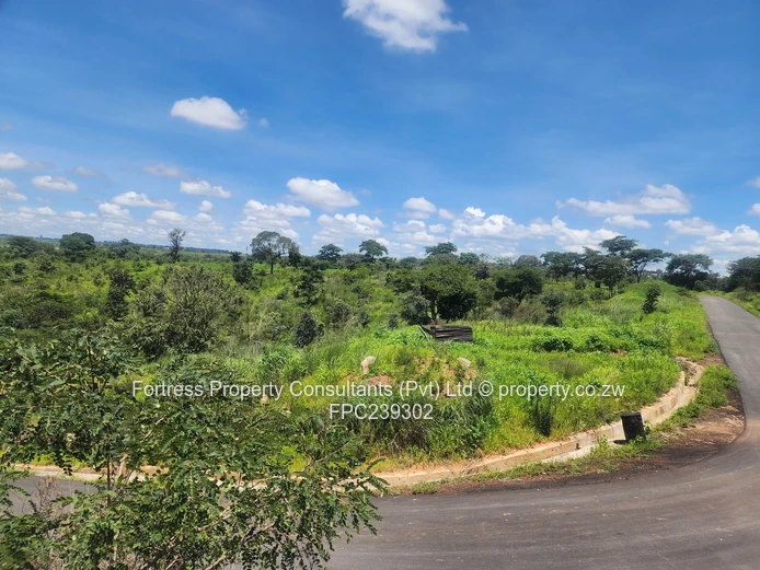 Upmarket Real Estate - Pomona  (Sole Mandate)