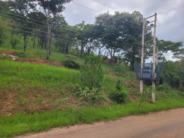 Stand for sale 260k- gletwyn police heights