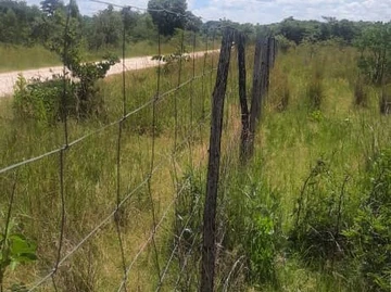 Farm & Agricultural Land