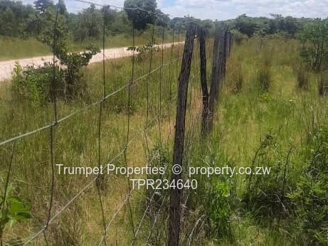 6ha Chegutu Farm — Fenced, Arable Pasture & Gravel Access (Sole Mandate)