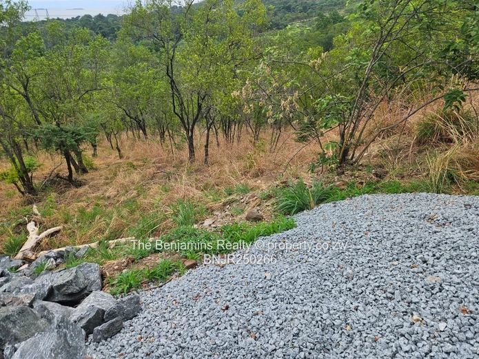 Kariba Land Close To The Zambezi (Sole Mandate)