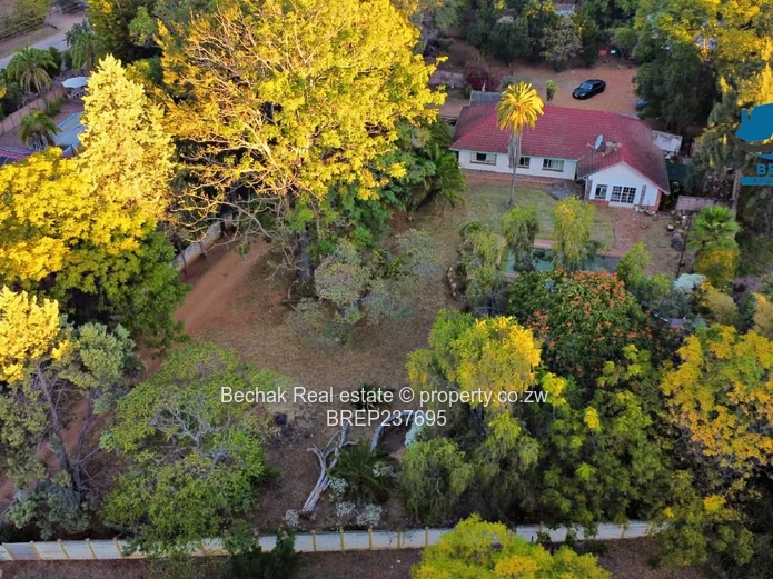 Hillside, Bulawayo: 3BR on 4,047m² — Pool & Borehole