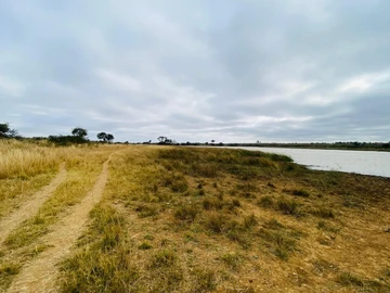 Farm & Agricultural Land