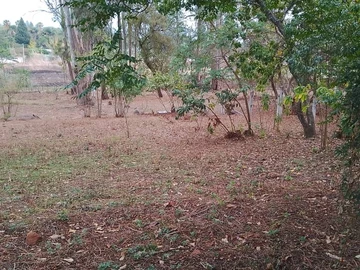 4 Bedroom Townhouse Complex