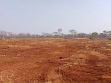 Farm & Agricultural Land
