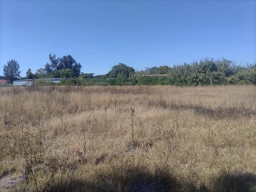 Commercial & Industrial Land