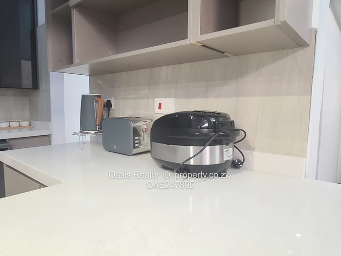 Brand new fully furnished home