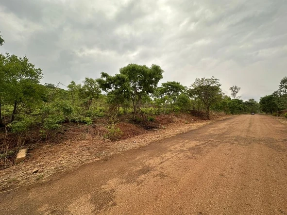 Farm & Agricultural Land