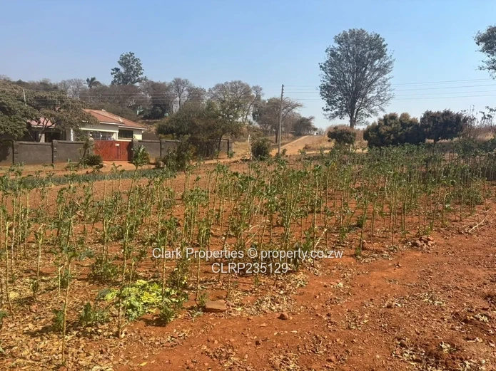 Tynwald Stand Perfect for Home or Investment