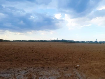 Farm & Agricultural Land