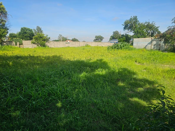 Stands & Residential Land