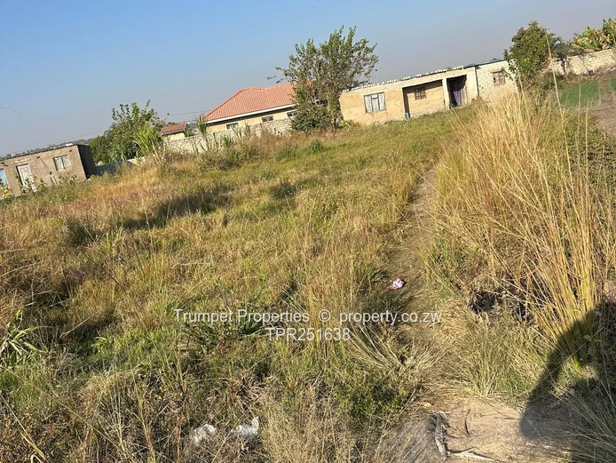 Grassy 973m² Plot with Modest 1-Bed Home in Chitungwiza