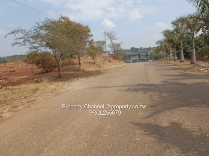 2,100m² Plot on Paved Road with Palm Trees, Hogerty Hill