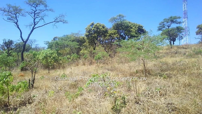 Shawasha Hills, stand inside the boom