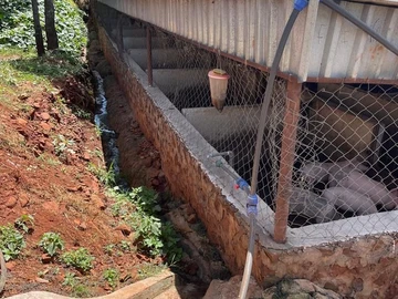 Farm & Agricultural Land